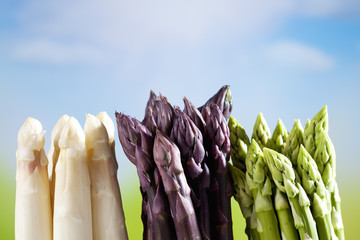 Spargelsorten (Asparagus) grün, lila, weiss,  Unschärfe, Grün, Blau, Himmel, Sonne