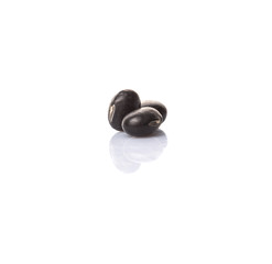 Black beans over white background