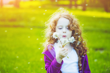 Child with white dandelion in your hand. Background toning insta