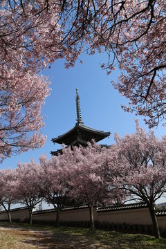 6 Best 日本の風景 日本らしい 和風 風景 Images Stock Photos Vectors Adobe Stock 6 Best 日本の風景 日本らしい 和風 風景 Images Stock Photos Vectors Adobe Stock