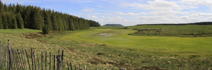Obraz premium Tourbière de l'Estivadou en Auvergne