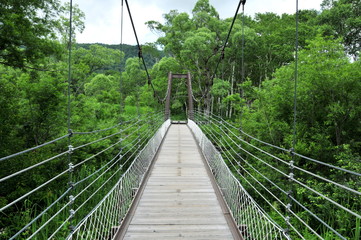 Obraz premium 夏の尾瀬ケ原ハイキング ヨッピ橋