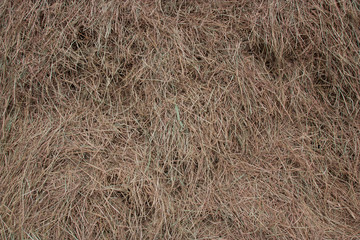 Rice straw.
