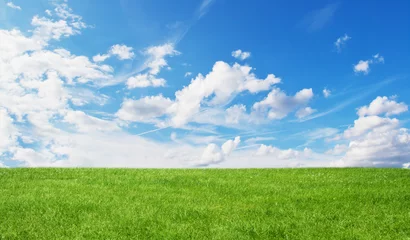 Foto op Plexiglas Platteland Groen veld en blauwe lucht