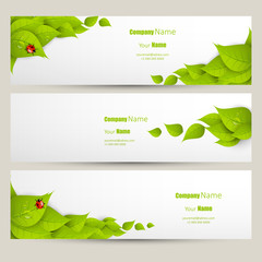 Eco banner set, fresh green leaves design