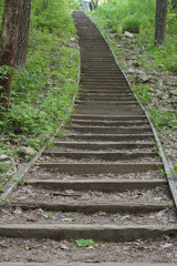 Wooded stairs lead up a hill.  These steps lead hikers to a great walk through the forest.
