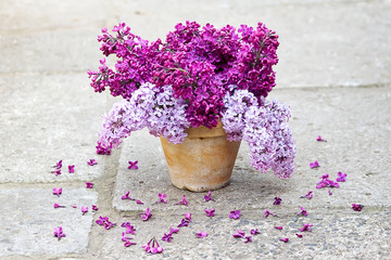 Fototapeta na wymiar Ceramic pot with a branch of lilac flower