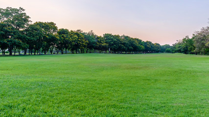 Public park