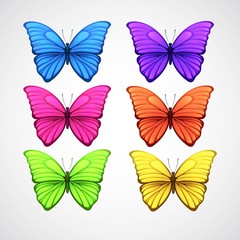 Obraz na płótnie Canvas Collection of color butterfly vector icons. Vector illustration