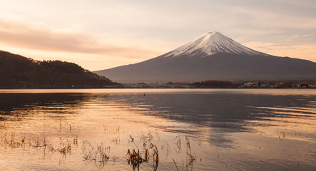 Mountain Fuji and Kawaguchiko lake in early morning