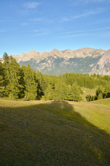 Fototapeta na wymiar Plateau des Têtes (Hautes-Alpes / Briançonnais)