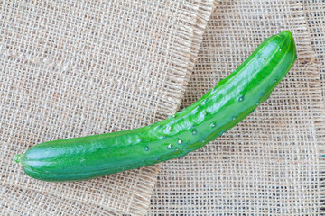 Fresh green cucumber on burlap canvas background