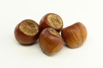 Hazelnuts on white background