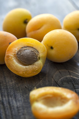 Freshly Picked Apricots