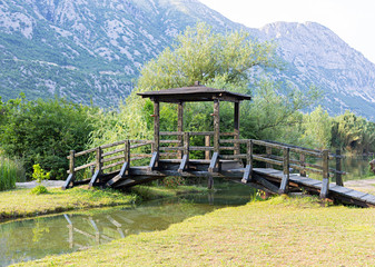 Fototapeta na wymiar wooden bridge over a stream