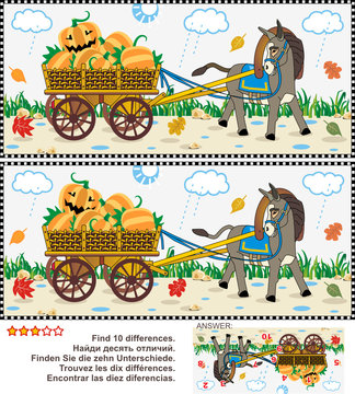 Halloween, autumn or harvest themed visual puzzle: Find the ten differences between the two pictures of donkey pulling a cart with pumpkins in the rainy fall day. Answer included.
