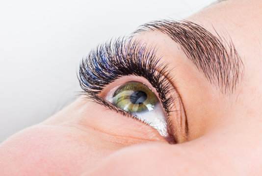 lashes