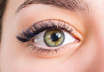 lash eyes