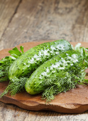 Fresh  cucumbers with parsley and dill, selective focus