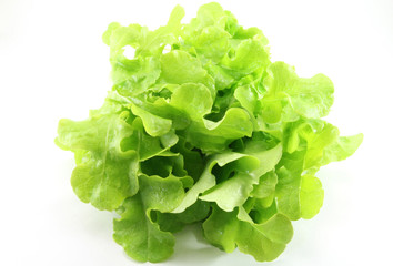Lettuce