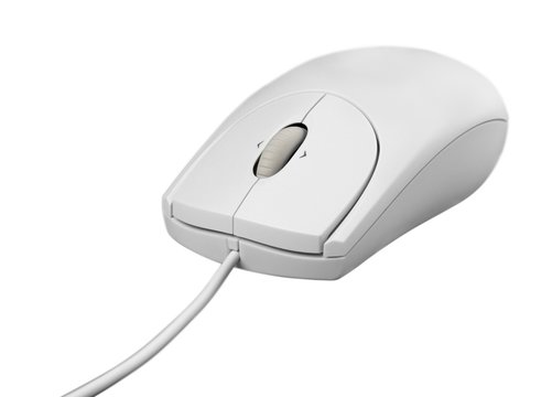 Computer Mouse, Technology, Isolated.