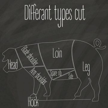 different cut of pork
