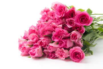 pink rose