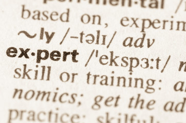 Dictionary definition of word expert