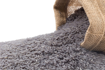 butterfly pea rice isolated on white background