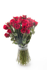 red rose