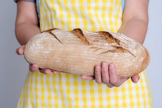 delicious self made bread in woman`s hands