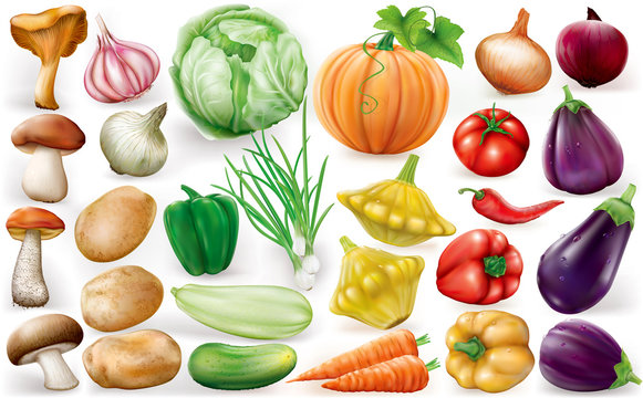 Set of vegetable