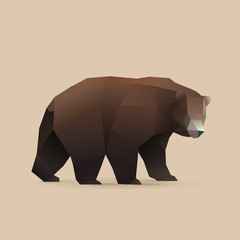 bear