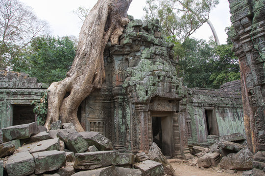 Ta Prohm, Angkor Wat, Kambodscha, Tempel, Siem Reap
