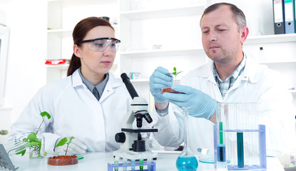 Fototapeta premium Team of scientists in a laboratory working on chemical testing