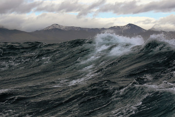 storm high wave in the background of the North shore