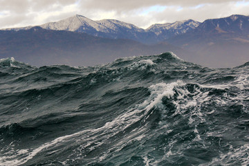 storm high wave in the background of the North shore