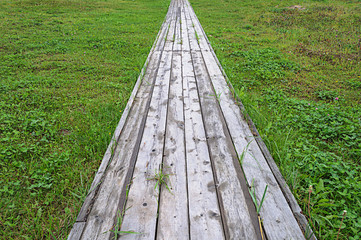 Wooden pathway on green grass background