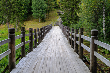 Long wooden footbridge in forest