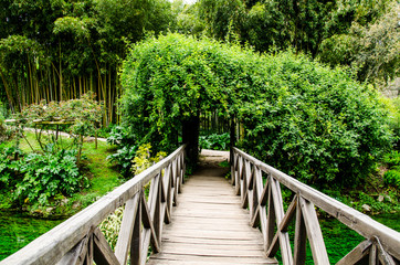 Ponte sul fiume