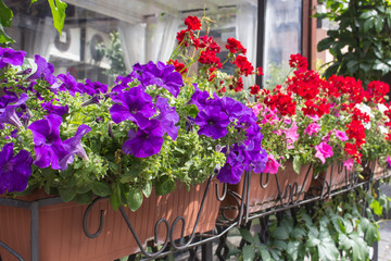 Fototapeta na wymiar Balcony flower boxes filled with flowers