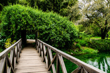 Fototapeta premium Ponte sul fiume