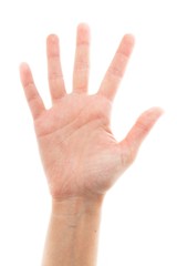 Human Hand, Counting, Human Finger.