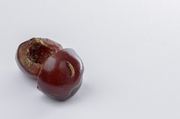 cherry with a worm on a white background
