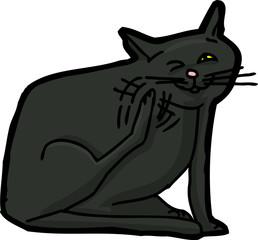 Black Cat Scratching Himself