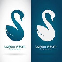 Vector image of an swan design on white background and blue back