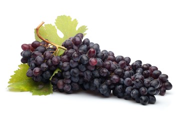 Grape, Vineyard, Vine.