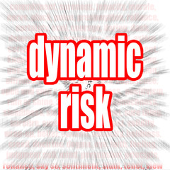 Dynamic risk