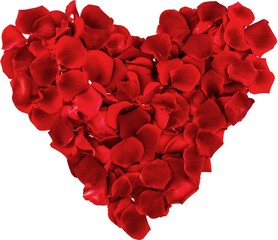 Rose, Heart Shape, Valentine's Day.