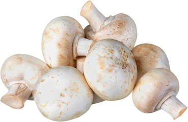 Mushroom, Edible Mushroom, White Mushroom.